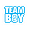 Gold Gender Reveal Stickers Team Boy And Team Girl Baby Shower Labels