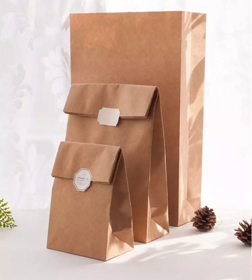 SGS PMS Kraft Christmas Gift Packing Box Biscuit Candy Snack Packaging Bag