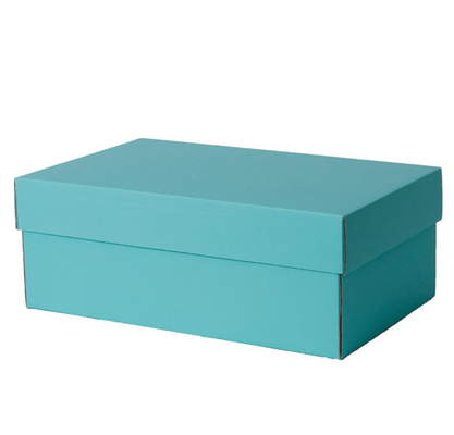 Recyclable Plain Cardboard Empty Shoe Boxes Packaging With Lids