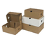 Recyclable Plain Cardboard Empty Shoe Boxes Packaging With Lids