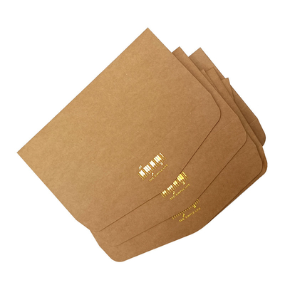 Vintage Brown Ironed Gold  Kraft Paper Envelope Kraft Envelope Seed